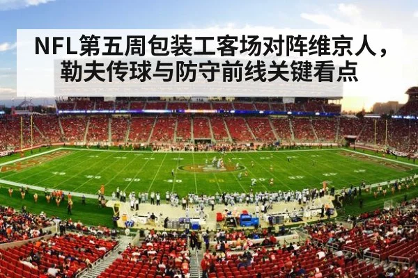 american football stadium night crowd